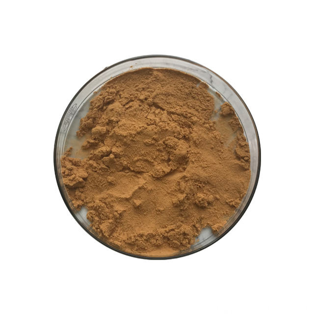 Grifola Frondosa Extract Powder