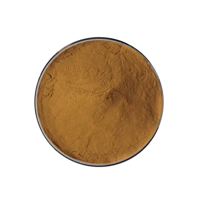 Agaricus Bisporus Extract Powder