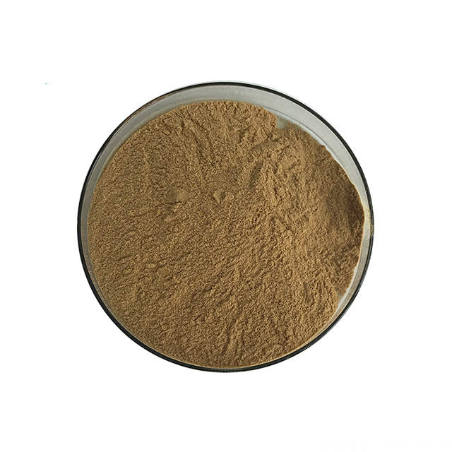 Dendrobium Candidum Extract Powder