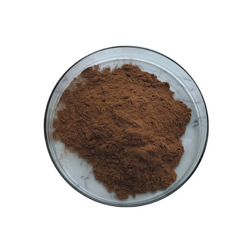 Hericium Erinaceus Extract Powder