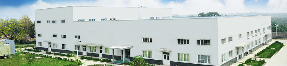 Our Factory -Reayou ingredients Co., Ltd.