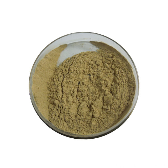 Panax Notoginseng Extract Powder
