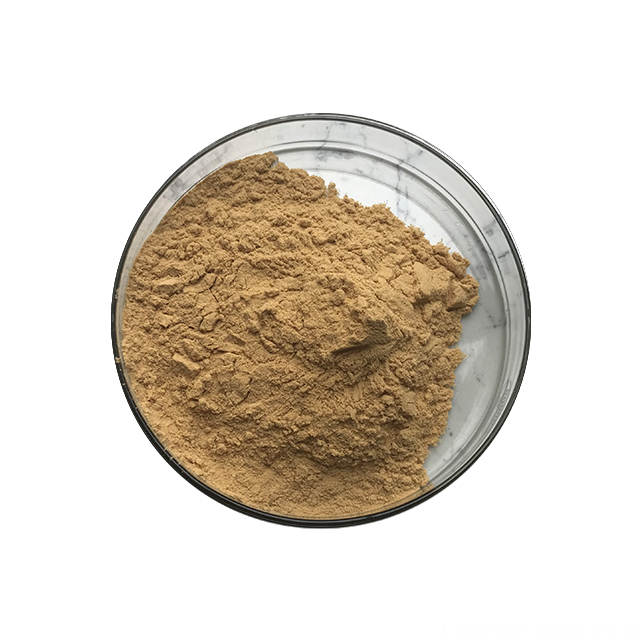 Wild Jujube Extract Powder