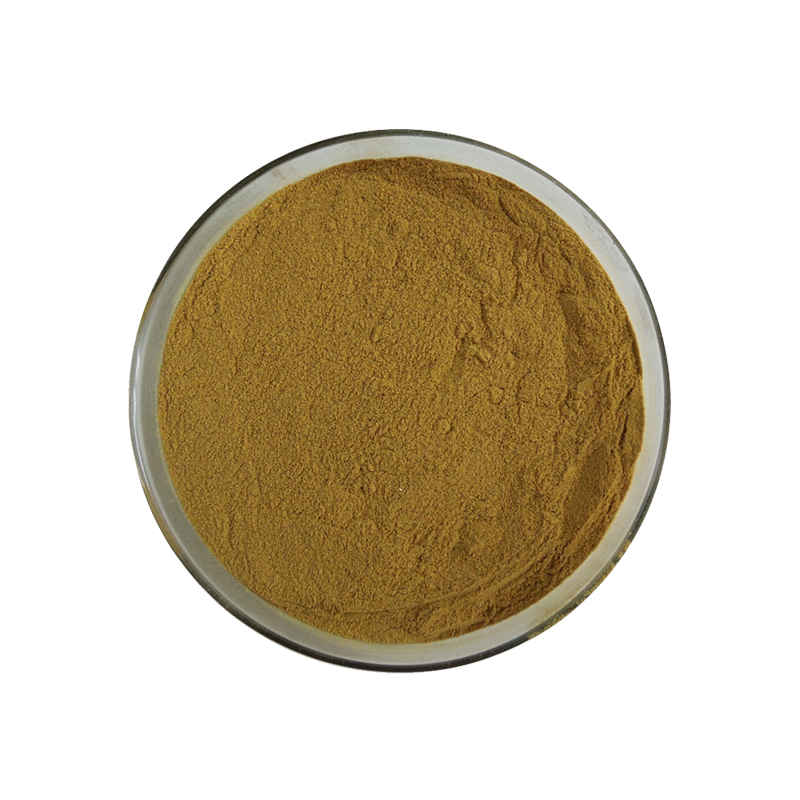 Black Cohosh Extract Powder