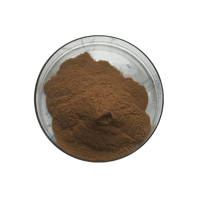 Burdock Root Extract Powder
