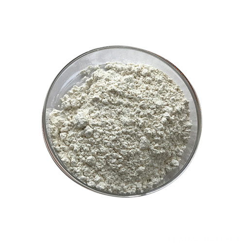 Garlic Extract Powder