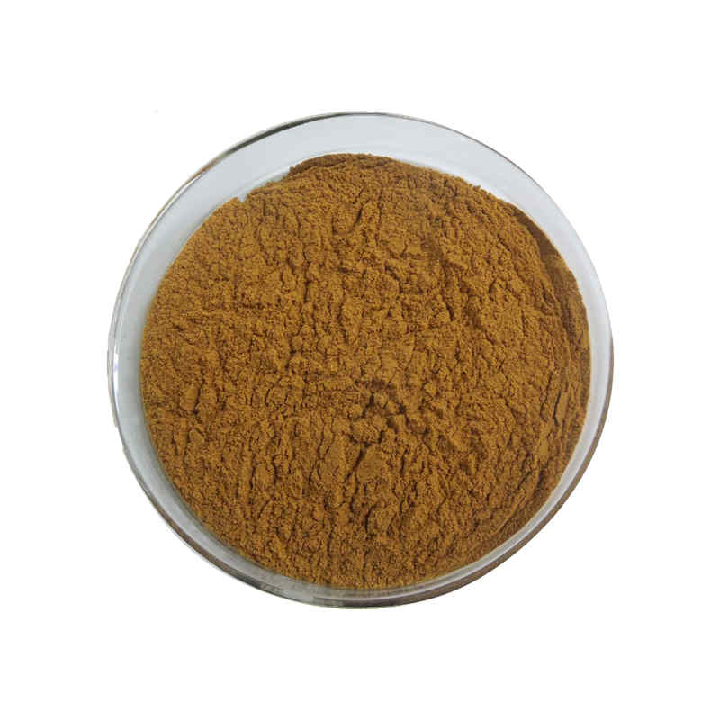 Gentian Root Extract Powder