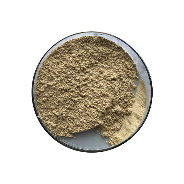 Ginseng Extract Powder