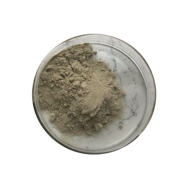 Glucoamylase Enzyme Powder