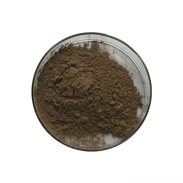 Ivy Leaf Extract Powder