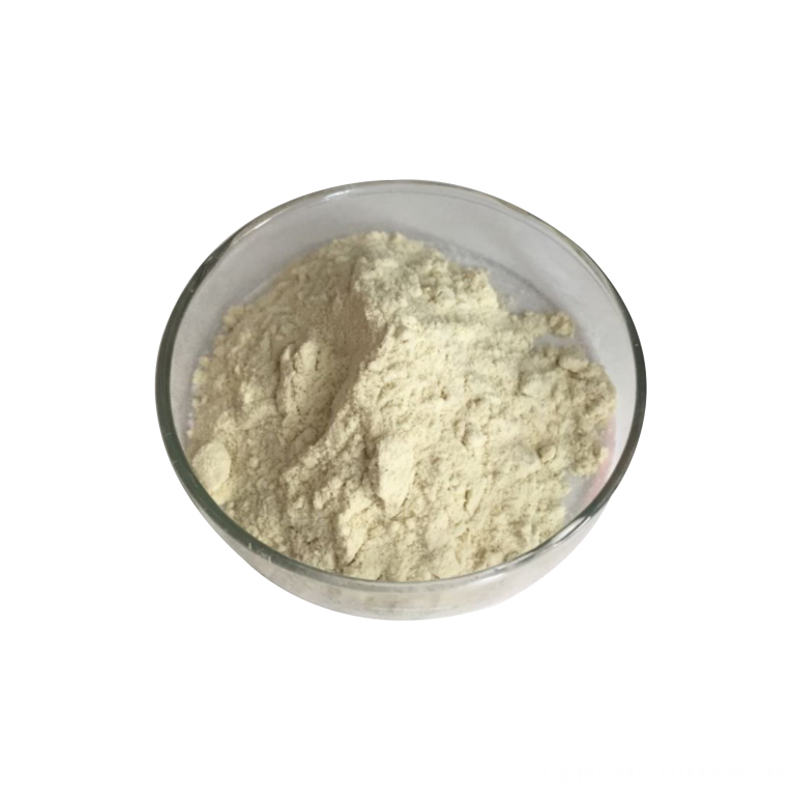 Oroxylum Indicum Extract Powder