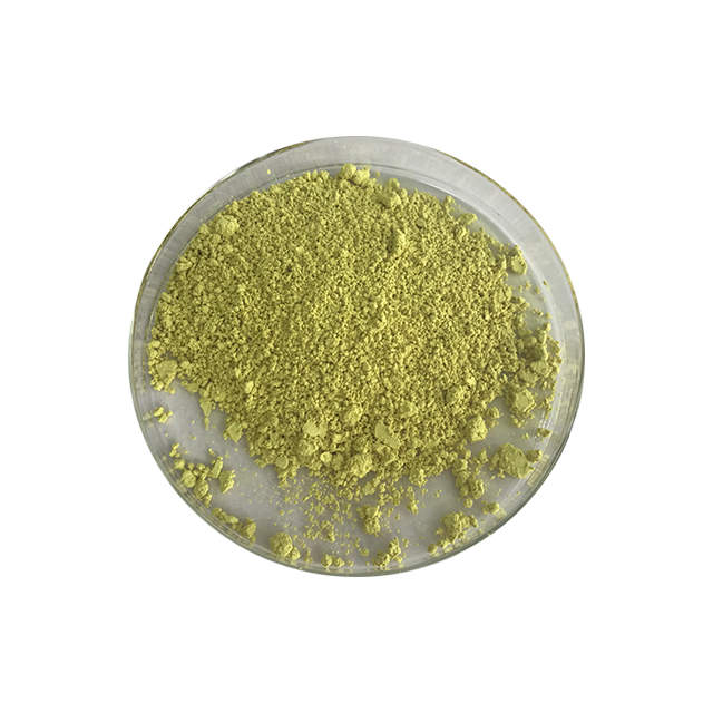 Sophora Japonica Extract Powder